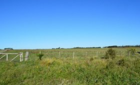 1.6 ha. en Villa Elisa